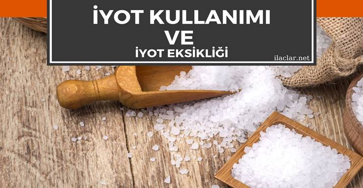 İyot Eksikliğiyle İlişkili Sorunların Önlenmesi