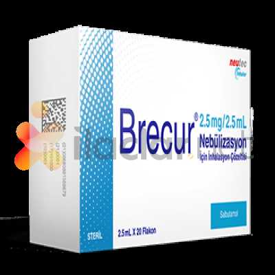 BRECUR 2,5 MG 2,5 ML NEBULIZASYON ICIN INHALASYON COZELTISI (20 FLAKON )
