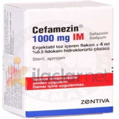 CEFAMEZIN IM 1000 MG 1 FLAKON