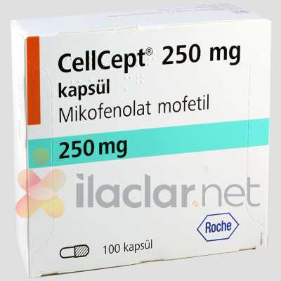 CELLCEPT ROCHE 250 MG 100 KAPSUL