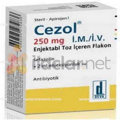 CEZOL 250 MG IM/IV ENJEKSIYONLUK TOZ ICEREN 1 FLAKON